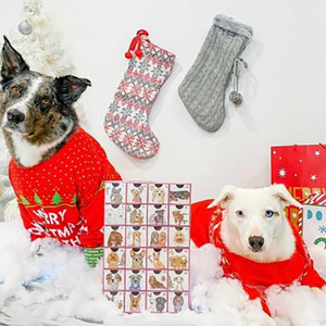 Boîte en papier personnalisée pour calendrier de l'avent pour chiens <span class=keywords><strong>2022</strong></span> - Product Image 3