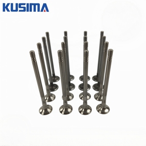 Kit Valvole Motore Auto di Fabbrica per <span class=keywords><strong>Ford</strong></span> Kuga EcoSport 1.0 Focus 1.5 1.6 <span class=keywords><strong>1.8</strong></span> Transit V348 2.2 2.4 3.2 2.3T 3.5 4.6 5.0 5.4 6.2 - Product Image 2