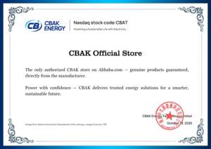 CBAK 3.2V 20Ah 원통형 리튬 이온 배터리 풀 탭 고용량 3500 사이클 긴 수명 저저항 재고 모델 40130FS - Product Image 6