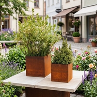Bac à plantes rectangulaire haut et large en acier inoxydable, style Art déco, pour extérieur, mobilier urbain autoportant
