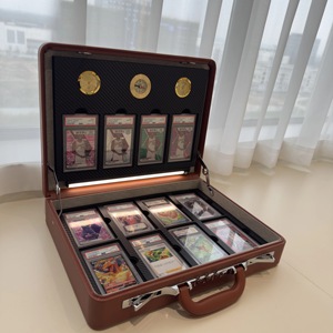 Estuche de Transporte Especial de Nuevo Diseño 2026 para PSA Slab, Apariencia de Alto Nivel y Protección Fuerte, Lámpara Inteligente - Product Image 3