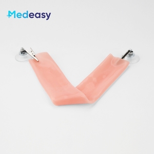 Laparoscopische Chirurgie Simulatie Darmeend Om Anastomose Trainingsmodel Darm Darmhechting Oefenmodule Te Beëindigen - Product Image 4