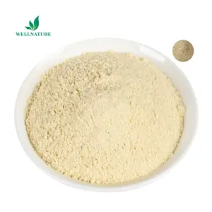 Wholesale Price Yeast Barley Beta Glucan Extract Powder Oat Extract Powder 70% 80% Beta Glucan