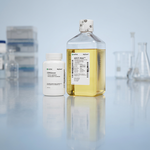 HyClone ADCF-mAb อาหารเลี้ยงเชื้อชนิดน้ำผสมแอล-กลูตามีน HEPES ไม่มีฟีนอลเรด 1000 มล. 6 ขวด/แพ็ค ขวดพลาสติกทรงเหลี่ยม SH30349.LS - Product Image 3