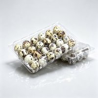 6 12 15 18 20 24 30 Boîte à œufs de caille en plastique PET transparent à 24 cavités