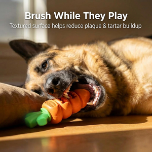 Juguete Interactivo de Goma y Nylon para Perros, Dispensador de Golosinas, Juguete para Masticar para Cachorros, Accesorio para Mascotas, Juguete para la Dentición - Product Image 2