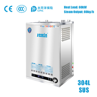 Générateur de vapeur au gaz commercial 60KW 80kg/h en acier inoxydable 304, économie d'énergie 20-40% pour restaurant, usine alimentaire, cuisine centrale