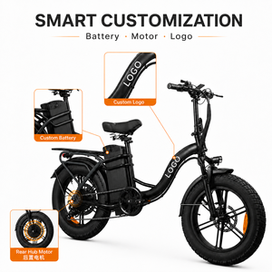 Bicicleta Eléctrica de Alto Rendimiento de 48V 50Ah con Neumáticos Gruesos de 20x4.0, Motor de 250W 750W, Logotipo Personalizado, Bicicleta de Carga - Product Image 1
