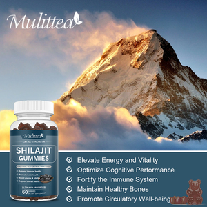 OEM Natural Shilajit Extract Gummy Supplement Verbessern Sie das Gehirn gedächtnis Shilajit Resin Pure Himalayan Gummies - Product Image 4