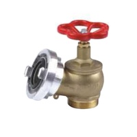 Vanne d'incendie double en fonte ductile de 100 mm avec finition laiton et pression nominale de 0,8-1,6 MPa, raccords de tuyauterie certifiés CE