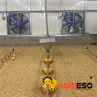 Ligne d'alimentation automatique pour volailles, équipement d'élevage avicole avec mangeoire à plateau et système de vis sans fin