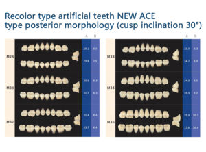 Зубные материалы, Перекрашенные искусственные зубы, новый тип, задняя пластина, твердые, 8 шт. X 12(96 шт.)/коробка, верхние и нижние челюсти - Product Image 6