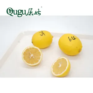 Grosir Kualitas Tinggi Lemon Segar Buah Jeruk Eureka Lemon