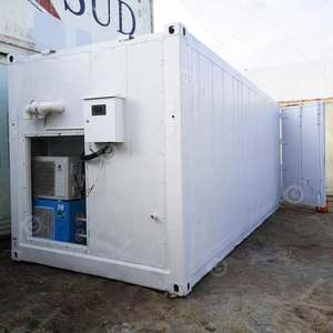 Agricultura Vertical Aeropónica con Azafrán, Cultivo Hidropónico de Lechuga y Hongos en Contenedor de Envío, Energía Solar, Motor de 500-3000 kg - Product Image 2