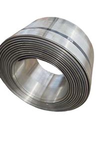 <b>Nickel</b> alloy hastelloy alloy C276 Hastelloy-X HastelloyR-135 Hastelloy C200 strip - Product Image 2
