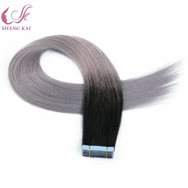 Extensions de cheveux indiens naturels lisses, 30 cm, Double Drawn, couleur ombré, gris, argent, soyeux, bande lisse