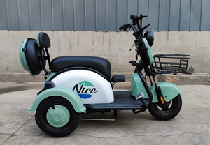 Suministro de fábrica, mejor precio, tecnología china, venta al por mayor, triciclo eléctrico, Scooter Eléctrico de 3 ruedas para adultos - Product Image 6
