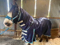Couverture d'écurie imperméable pour chevaux, en coton, rembourrage chaud, hiver, tissu ripstop, vente en gros