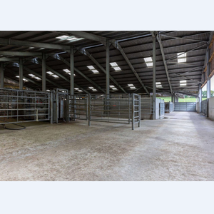 Edificio De Granja Lechera Con Estructura De Acero Prefabricada Batiment De Ferme Laitiere En Acero - Product Image 6