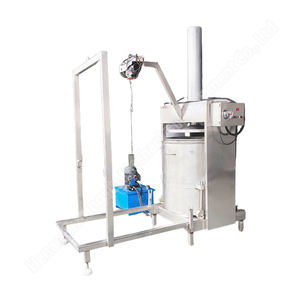 Presse-fruits pressée à froid presse hydraulique presse à huile commerciale pour jus - Product Image 3