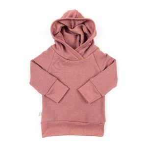Wholesale Men's Autumn Hooded Custom Logo High Quality <b>Thick</b> <b>Fleece</b> Sport Pullover Sweatshirts - Product Image 4