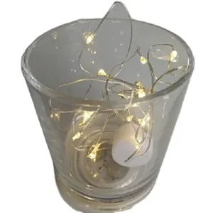 Hot Promotional Single Small Battery Operated Mini Led Lights For Indoor Holiday Decorative Lighting