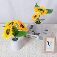 Lampe LED TSINYE en forme de tournesol, veilleuse en plastique blanc chaud, décoration de chambre pour la Saint-Valentin, cadeaux d'anniversaire - Pour elle, maman, femme