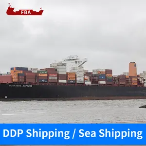 最便宜的物流FBA DDP DDU海运代理欧洲美国德国