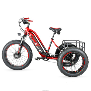 Elyx ES004 Food Delivery 36V12.5Ah Vélo cargo électrique de livraison Tricycle pour adulte - Product Image 2