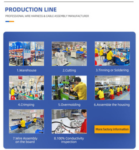 Lesun Odm Oem elektrikli araç otomotiv araba navigasyon kontrol kutusu için elektrik kablosu özelleştirilebilir otomatik kablo demeti - Product Image 6