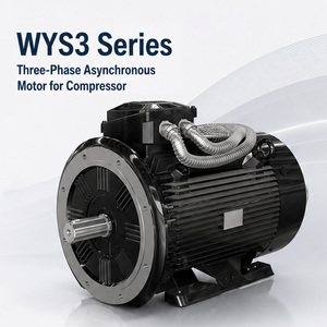 Motor Asíncrono Trifásico Específico para Compresores, Alto Torque de Arranque, Bajo Ruido, Alta Eficiencia para Compresores de Aire - Product Image 6