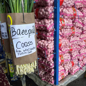 Suministro de ajo de China al mercado mexicano 5,5 cm Ajo blanco orgánico Ajo fresco al por mayor Proveedor de China para exportación - Product Image 1
