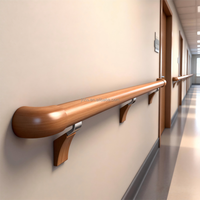 Rampe de sécurité hospitalière haute résistance 380 kg avec support ABS, revêtement PVC et cœur en aluminium pour couloir