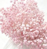 Fleurs de Gypsophile Séchées et Conservées de Haute Qualité, 80g, Prix de Gros, pour la Fête des Mères, la Saint-Valentin, Noël