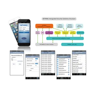 KeyKing Hot Selling KEYKING Integrated Security Solutions Structure Web Service