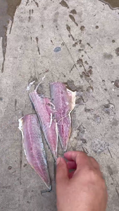 Balık eti ve kemik ayırıcı balık bölme balık fileto kesme makinası - Product Image 5