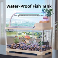 Aquarium de bureau carré personnalisable en gros avec kit de filtration LED et de décoration