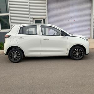 Vehículo Eléctrico de Alta Velocidad de Cuatro Ruedas, Cinco Puertas, Sin Asientos, Velocidad Máxima 100 Km/h, Autonomía NEDC <100 km, Motor de 50kW, 30kWh, Marca NE - Product Image 3