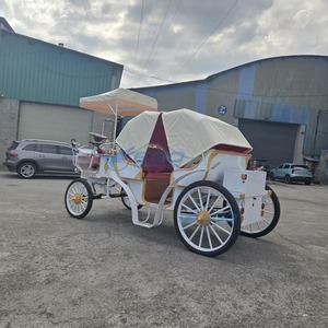 Nouvelle Carrosse de Tourisme Blanche 6 Places à Forte Demande avec Auvent Pare-Soleil, Performance Stable pour Mariages et Visites Panoramiques - Product Image 3