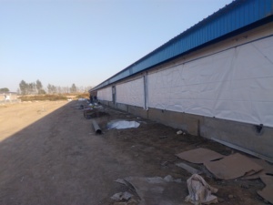 Tenda di raffreddamento del cuscinetto dell'azienda agricola <span class=keywords><strong>della</strong></span> <span class=keywords><strong>mucca</strong></span> del maiale Sunfast di alta qualità - Product Image 5