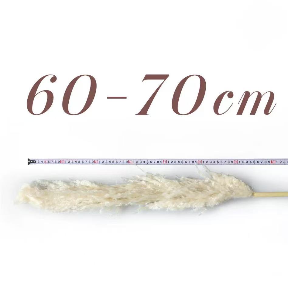 60cm-70cm