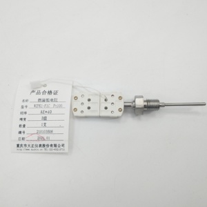 Duchin WZPK1-F1C <strong>PT100</strong> <strong>3</strong>-Wire IP65 Rated Thermometer Resistance <strong>Sensor</strong> with Serial Port Communication 1 Year Warranty - Product Image 4