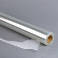 Film de sérigraphie éco-solvant haute résistance Dmax, film PET transparent positif pour la fabrication de plaques