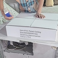 Paneles de Techo de PVC Modernos, Impermeables e Ignífugos con Soporte de Rejilla de Acero para Uso Comercial y Residencial en Baños y Gimnasios