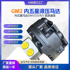 มอเตอร์ไฮดรอลิกแบบห้าดาวภายใน GM2 รุ่น GM2 200 630 แบบลูกสูบเมอริเดียน สำหรับปั๊มโคลนและเครื่องขูดตะกอน - Product Image 5