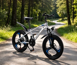 <span class=keywords><strong>Bicicleta</strong></span> de Montaña para Adultos de 20 Pulgadas, 21 Velocidades, Frenos de Disco de 3 Radios, Asiento Cómodo, <span class=keywords><strong>Bicicleta</strong></span> Resistente, Suministro Directo de Fábrica - Product Image 2