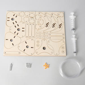 Modèle d'assemblage <span class=keywords><strong>manuel</strong></span> en bois avec griffe mécanique hydraulique miniature pour expériences scientifiques et éducation <span class=keywords><strong>scientifique</strong></span> - Product Image 2