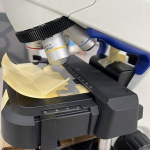 Microscopio Biológico con Sistema Óptico Clínico Olympus CX23 LED, Binocular, Enfoque Manual, Ajuste Dióptrico 2D, IP54 Externo - Product Image 3