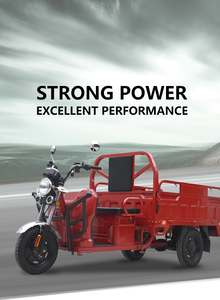 JINPENG Tricycle électrique qualité cargo Tricycle <span class=keywords><strong>moto</strong></span> à trois roues homologation CEE COC Europe légalement - Product Image 6
