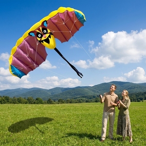 Cometa SEE01 de Doble Línea, Cuerpo Flexible, Deportiva y Acrobática con Tela a Cuadros - Fácil de Volar en Brisa Ligera para Edades de 0 a 24 Meses - Product Image 1